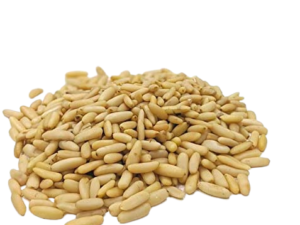 Bayara Pine Seeds